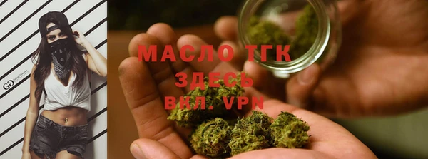дмт Рославль